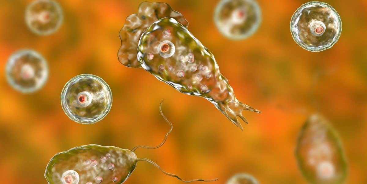 Brain-eating amoeba: Kerala and ICMR launch joint field study to trace source of infection