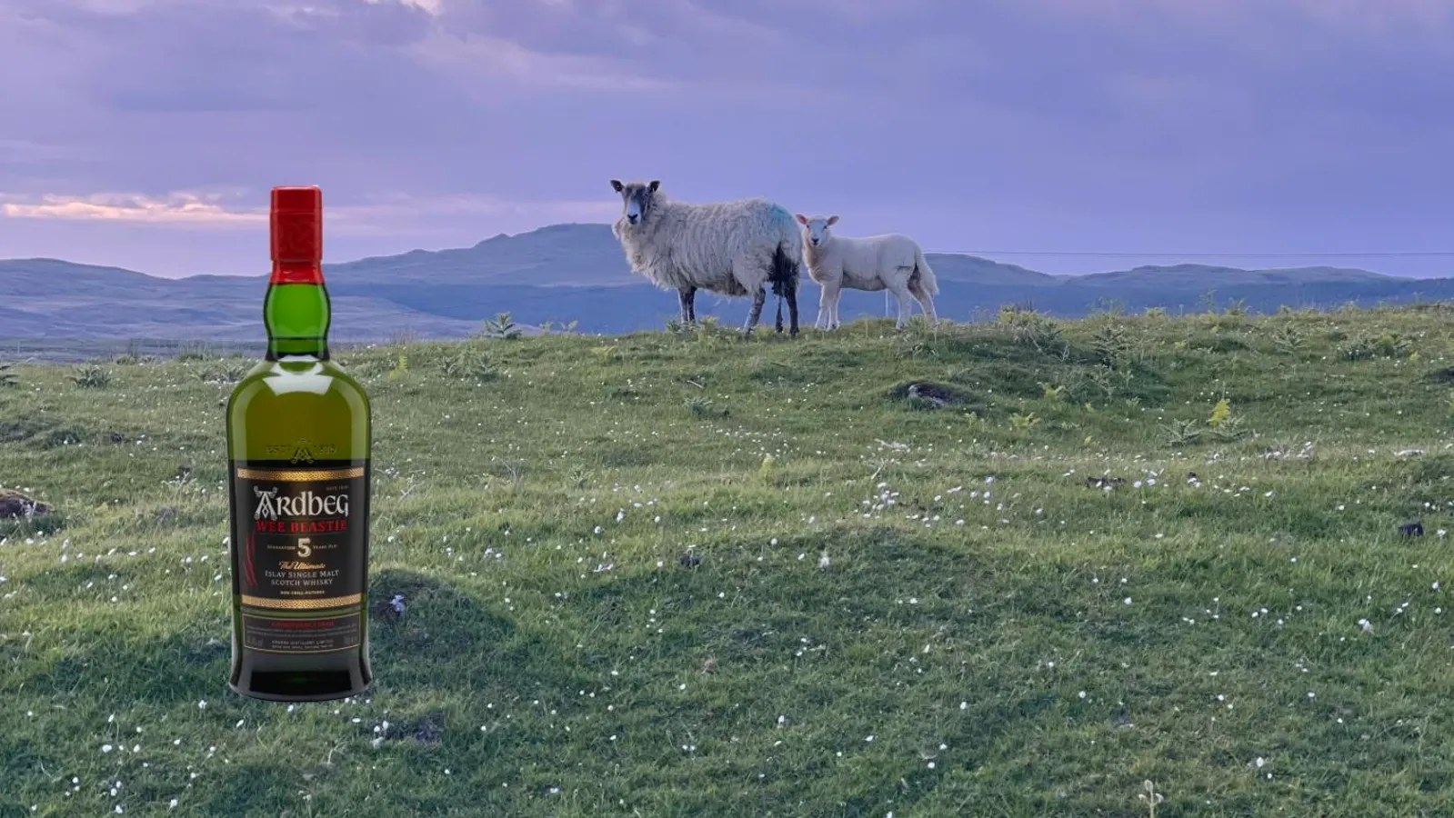 The World’s Best Scotch Whisky—According To The 2025 New York World Spirits Competition