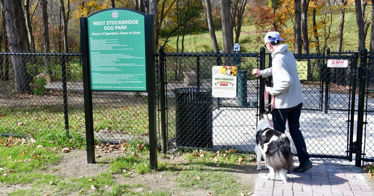 From cavorting canines, barks of approval for a new dog park in West Stockbridge