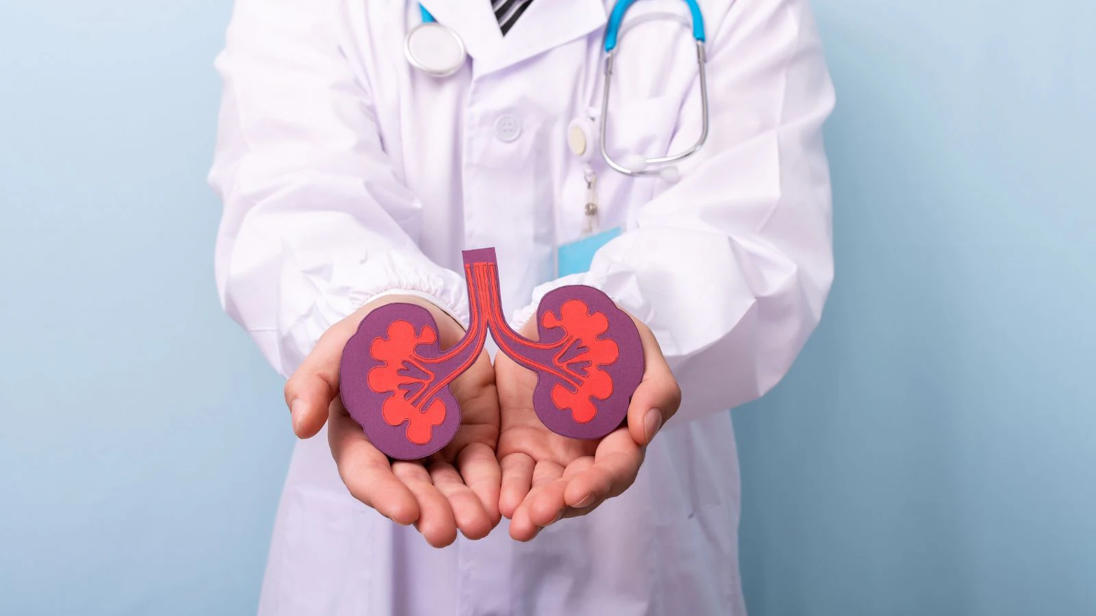 Why Kidney Disease Often Goes Unnoticed And How You Can Detect It Early