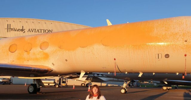 UK Green Extremist Activists Who Tried to Vandalise Taylor Swift's Private Jet Spared Jail