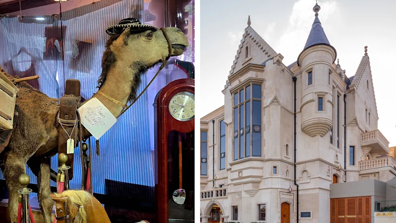 Great Scots! The case of the $60 million castle and a vanishing camel