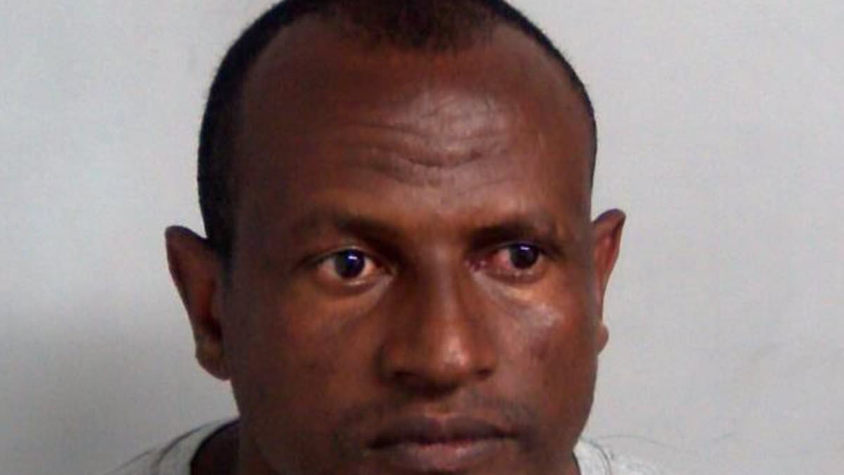 Wes Streeting forced into humiliating plea for public to help find fugitive migrant sex offender as manhunt continues in east London  