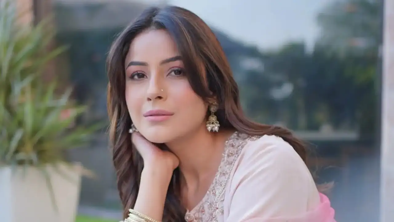 Ikk Kudi Star Shehnaaz Gill Says She Can't Compare Herself With SRK, Salman: Have To Make Name For Myself | EXCL