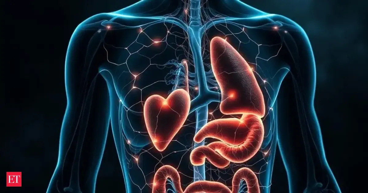 How your brain know when to breathe? Nobel-winning neuroscientist to map human’s ‘hidden sixth sense’ linking brain and body