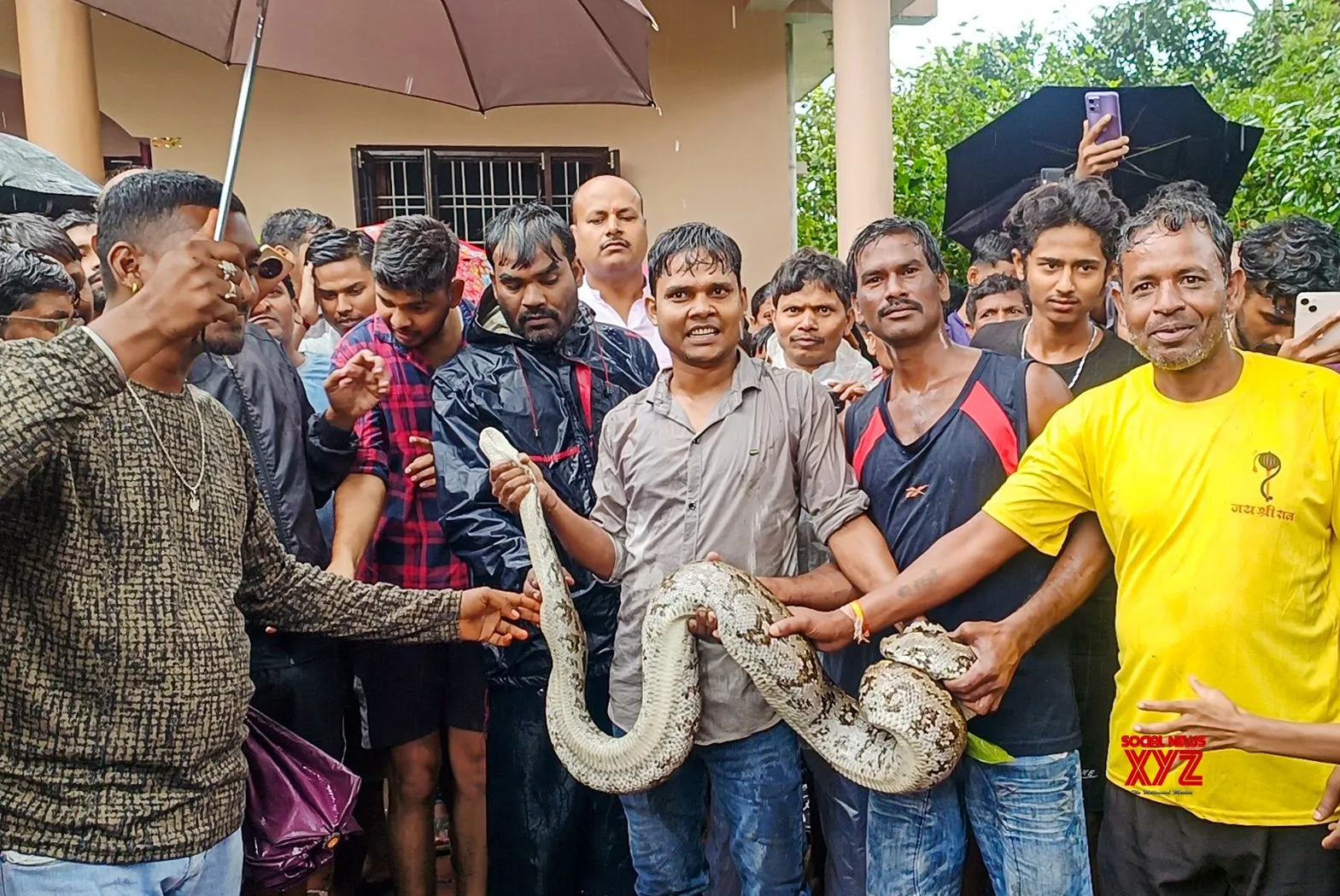 Ranchi: 12 Foot Python Rescued #Gallery