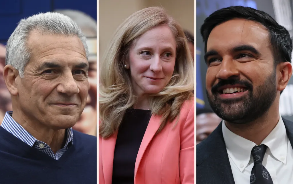 The 2025 November Elections Preview