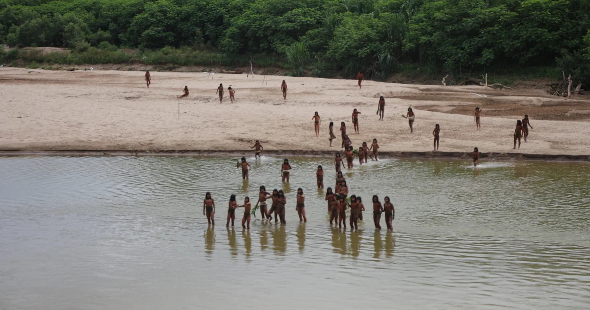 Half of uncontacted tribes could be wiped out in 10 years, report says