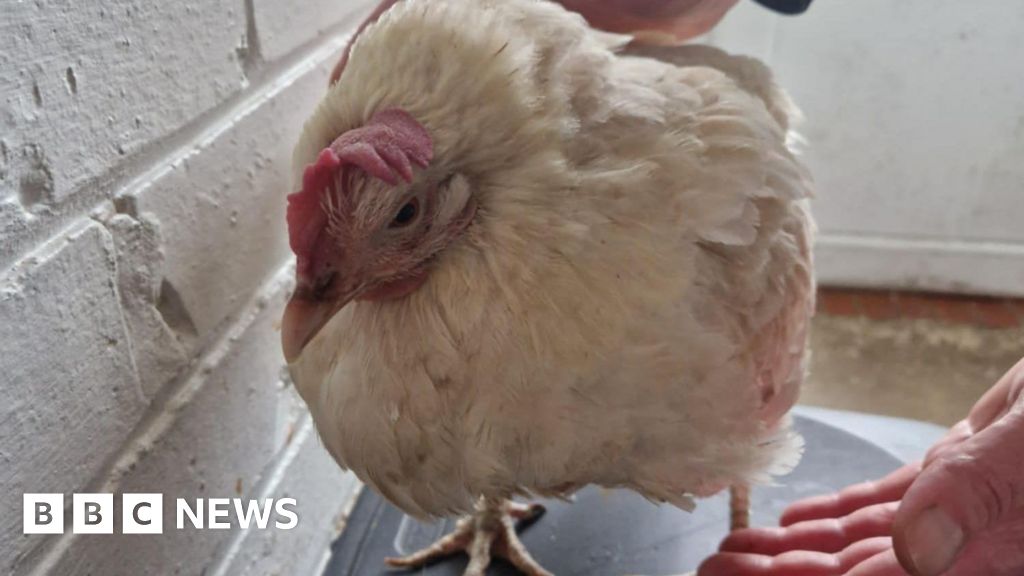 Weekly round-up: Five stories you may have missed