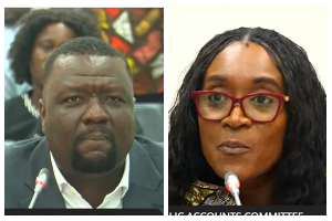‘What are you telling me?’ – Watch as Abena Osei Asare loses cool on DVLA boss at PAC sitting