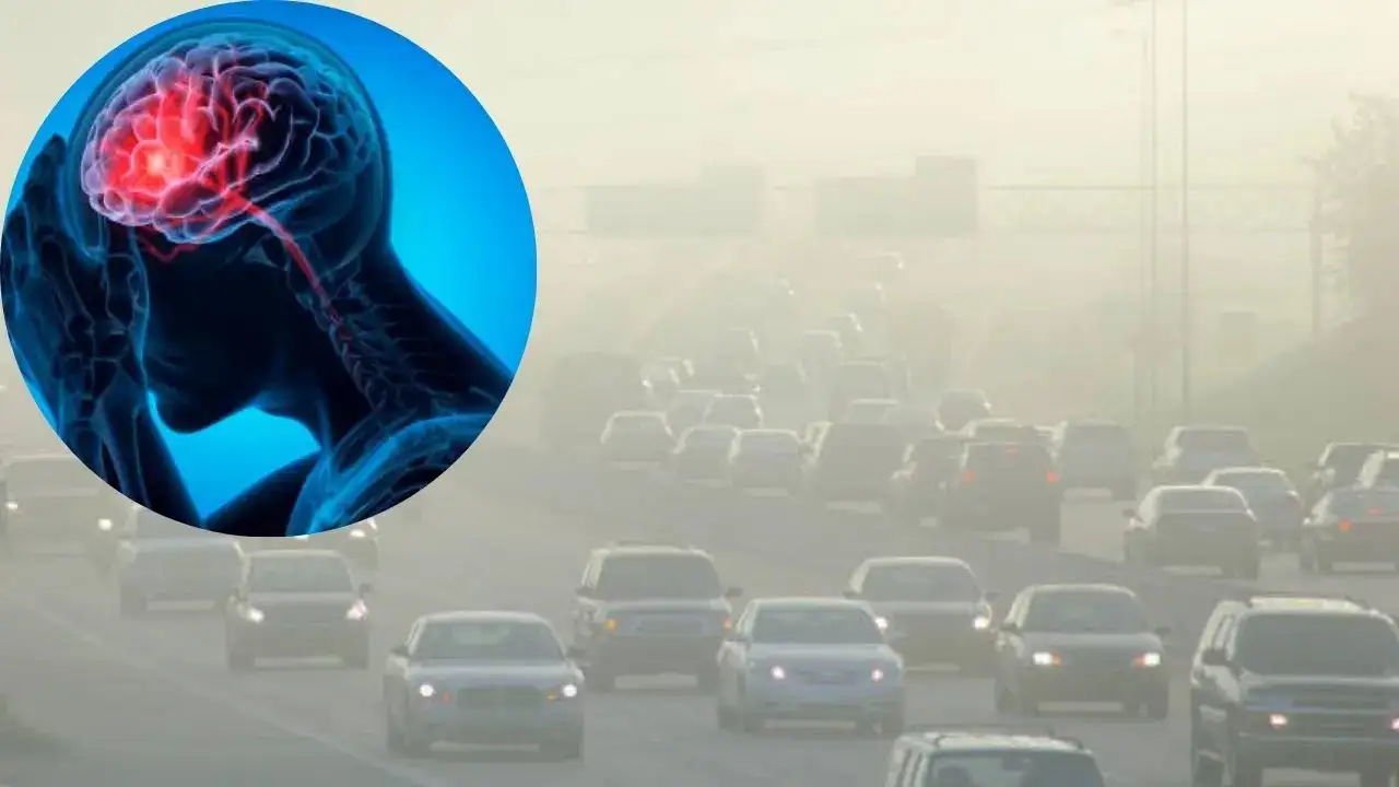 Air Pollution in Delhi Linked to Rising Stroke Cases, Say Doctors