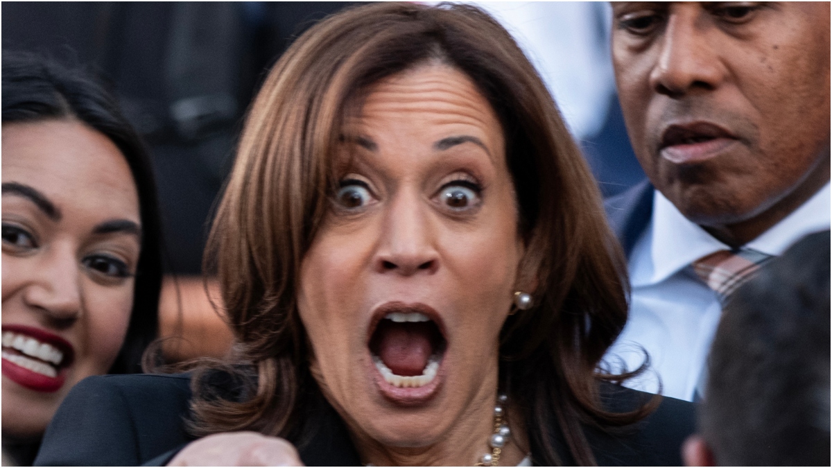 Kamala Harris Threatens Democrats With A Tease That Has Republicans Foaming At The Mouth