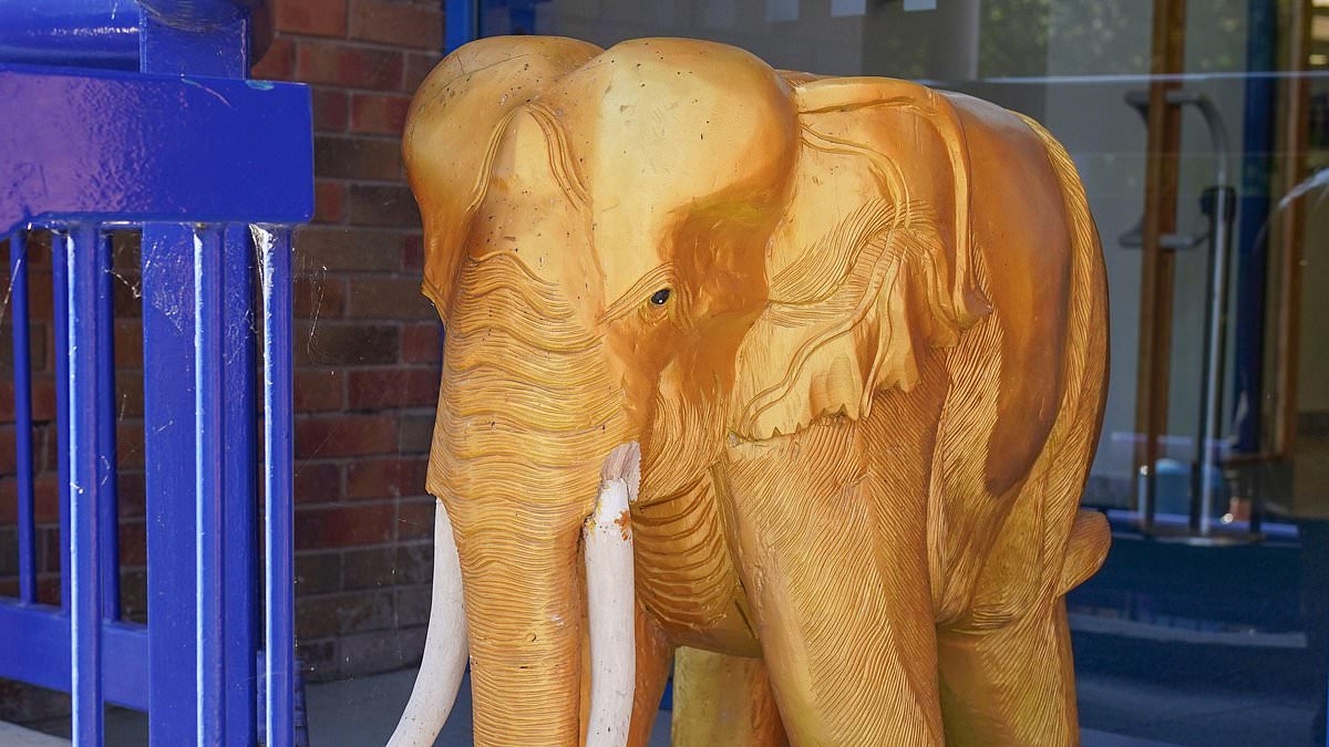 Sheffield Wednesday to auction off golden elephant statues installed by former chairman Dejphon Chansiri