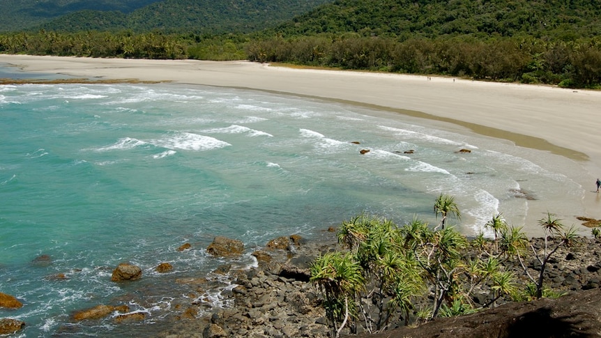 Crocodile mauls boy, 14, at Cape Tribulation beach