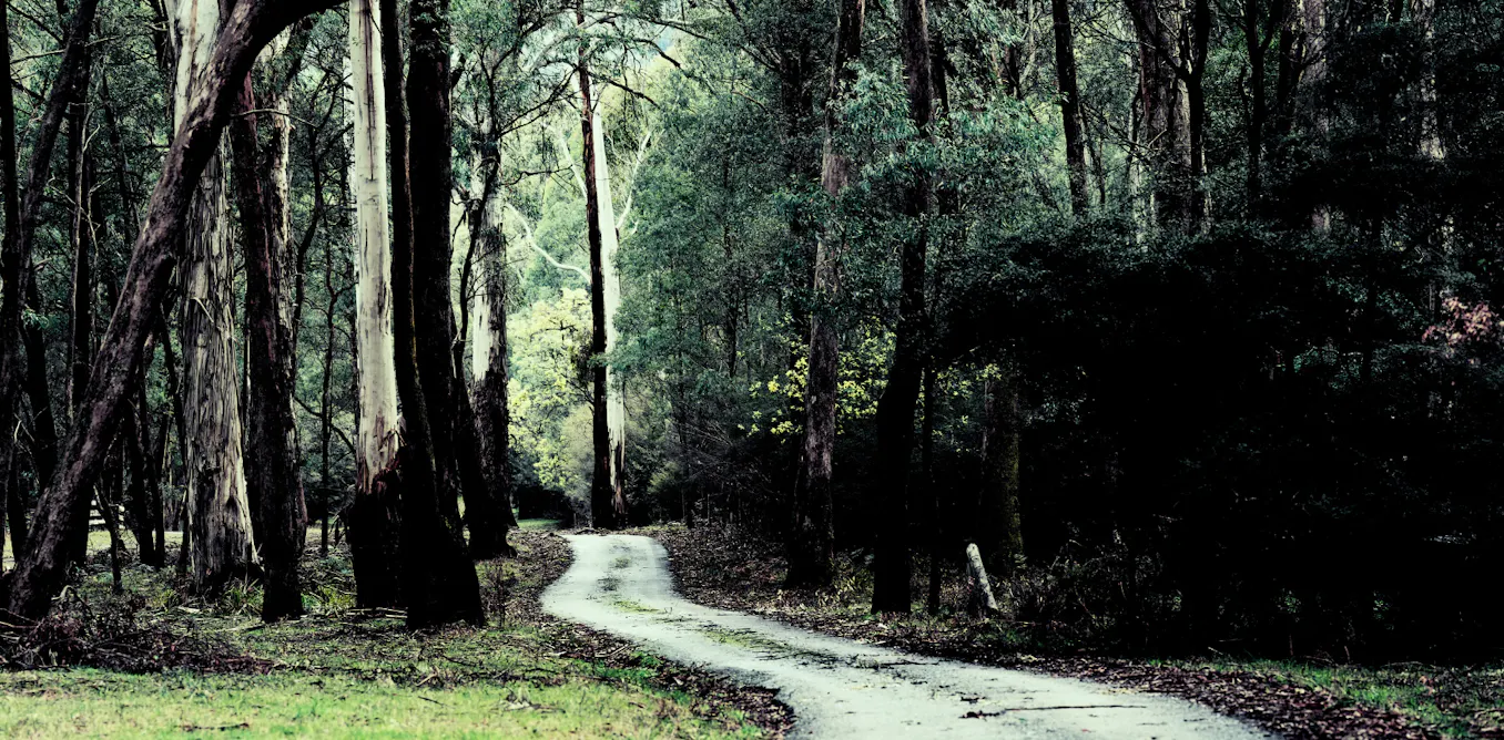 Far-right extremists are setting up rural enclaves around the world. We need to counter the threat they pose