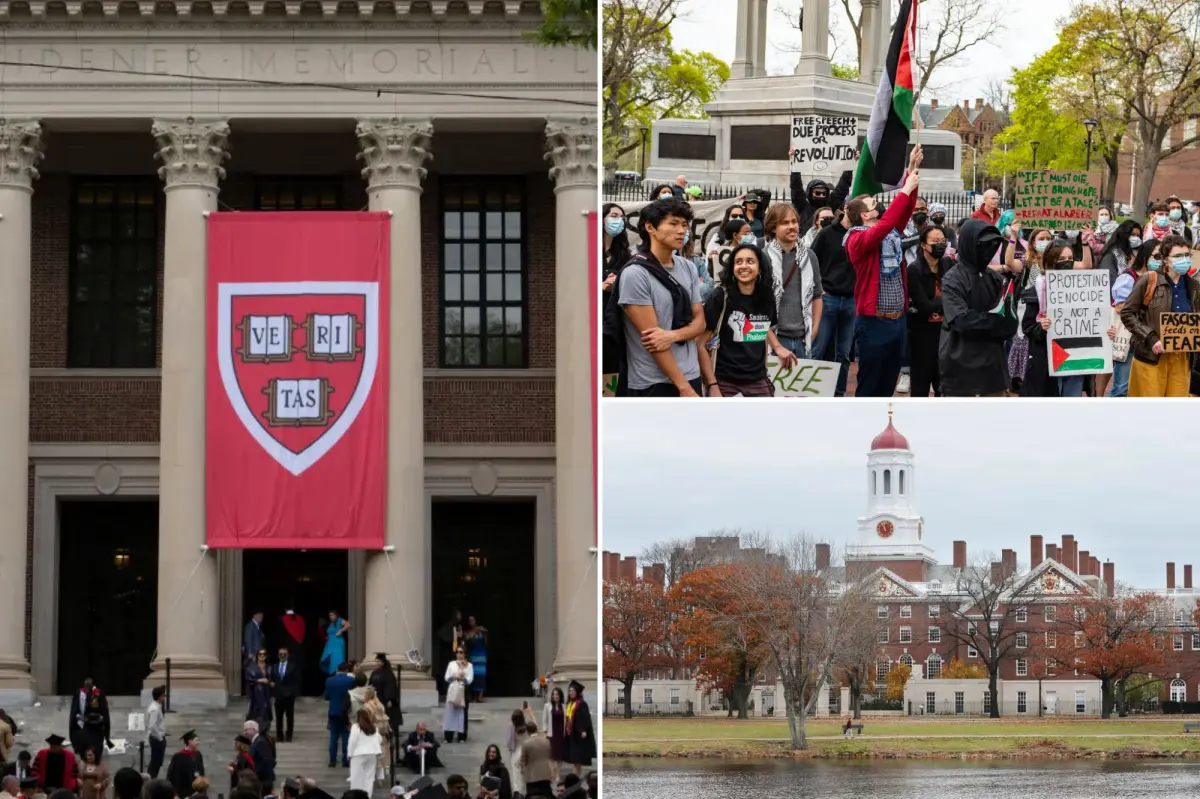 Conservative Harvard students fear social shunning, academic retaliation, over right-wing beliefs
