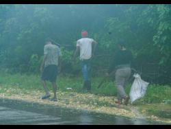 Crab hunt in the storm!  - Fearless youths chase rain food in Hellshire ahead of Melissa