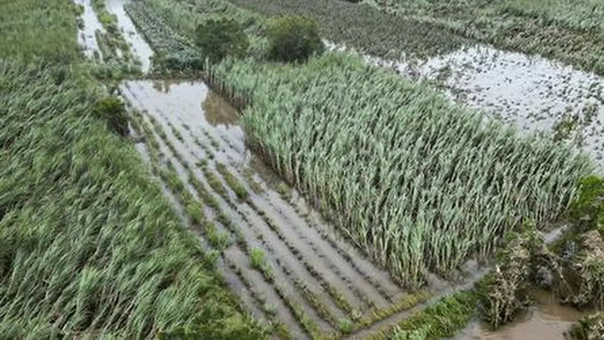 Satyukt Analytics gets patent for its soil nitrogen estimation technology using satellite data