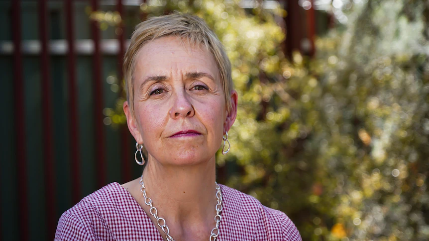 National watchdog needed for violence against women, commissioner says