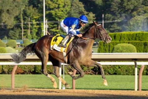 Sovereignty Gets Prayers From Billionaire Mike Repole and Racing World After Breeders’ Cup Classic Scratch