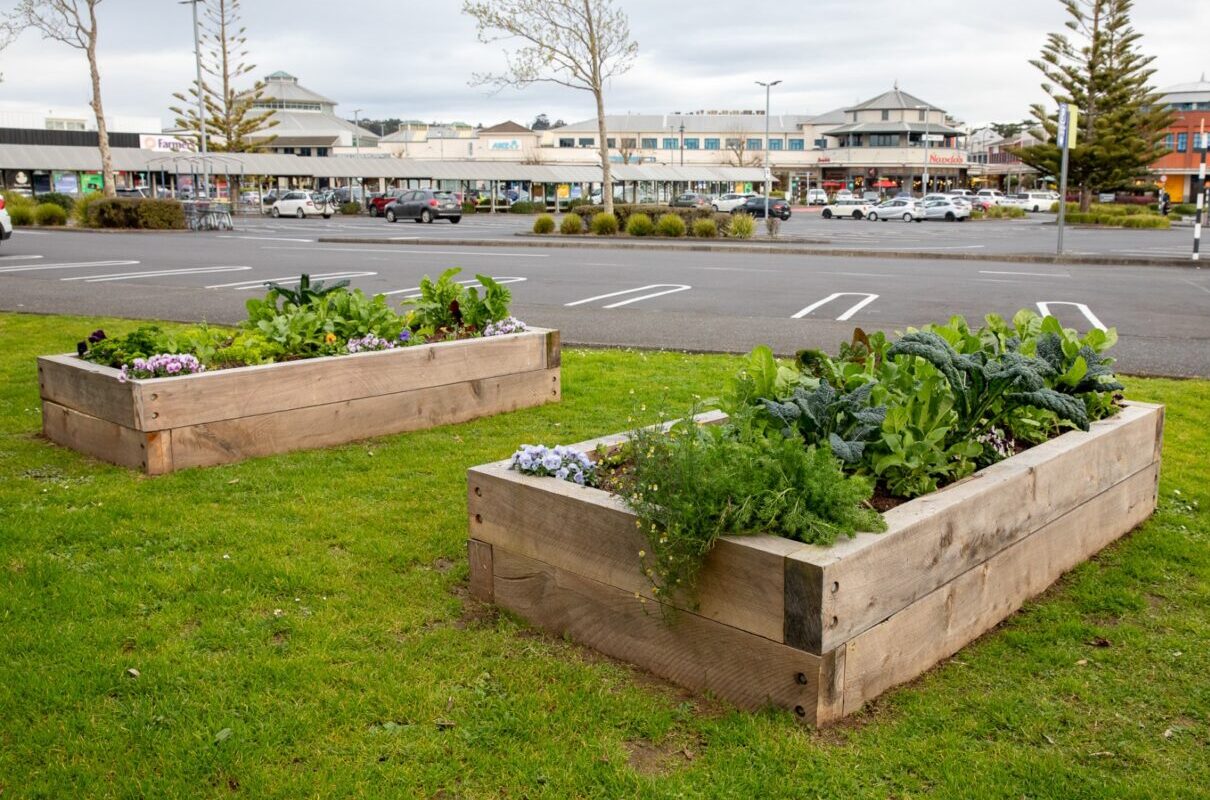 Community Comments: East Care, and community veggies