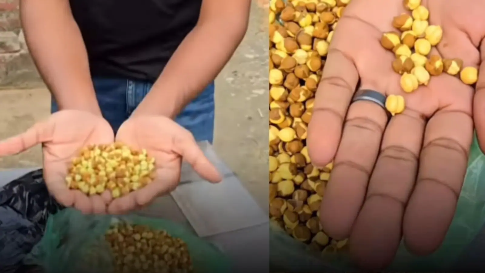 Man ‘Reveals’ Roasted Chickpeas Contain Harmful Chemicals Linked To Cancer: ‘Ghor Kalyug Hai’ | Video