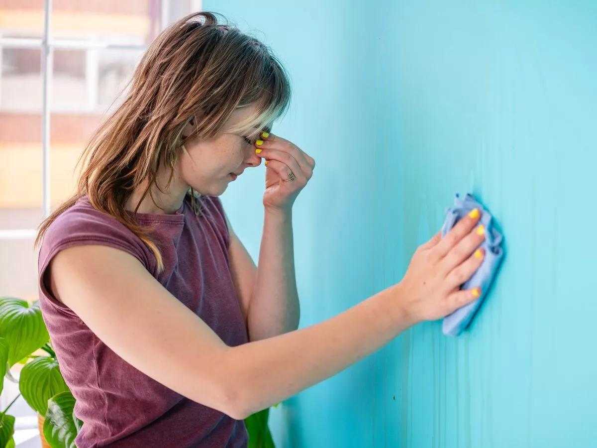 New mould law now in force affects millions in UK and tragic reason why