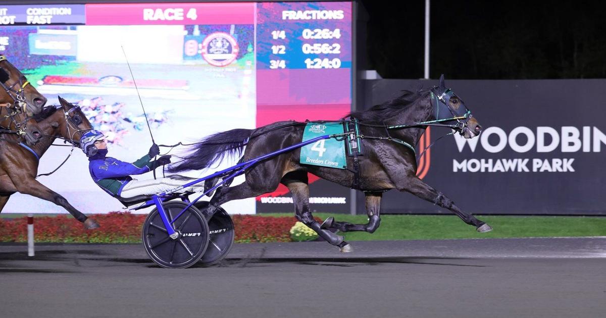 Canadian Yannick Gingras drives Sippinonsearoc to dramatic Crown victory