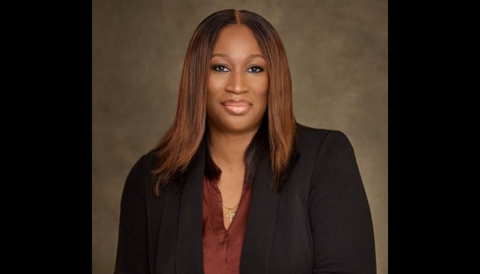 LFZ remains best investment destination for Nordic businesses in Nigeria –  Ladoja