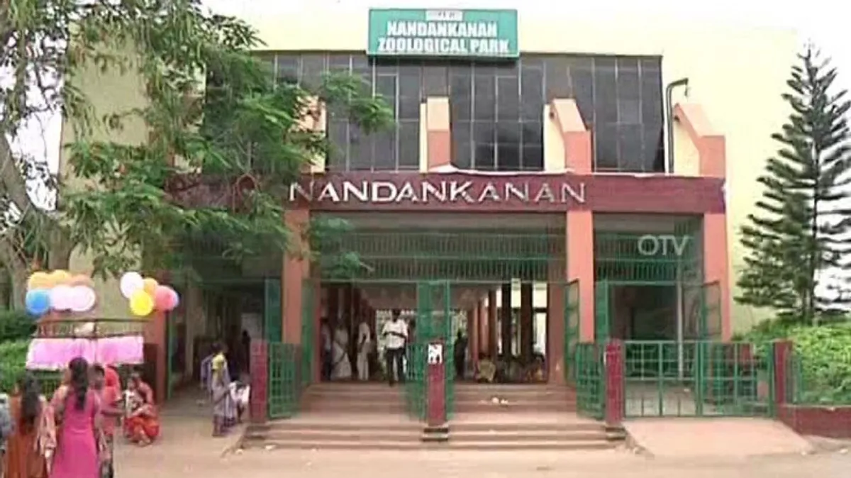 Cyclone Montha: Nandankanan Biological Park on high alert with control room in place, focus on animal safety