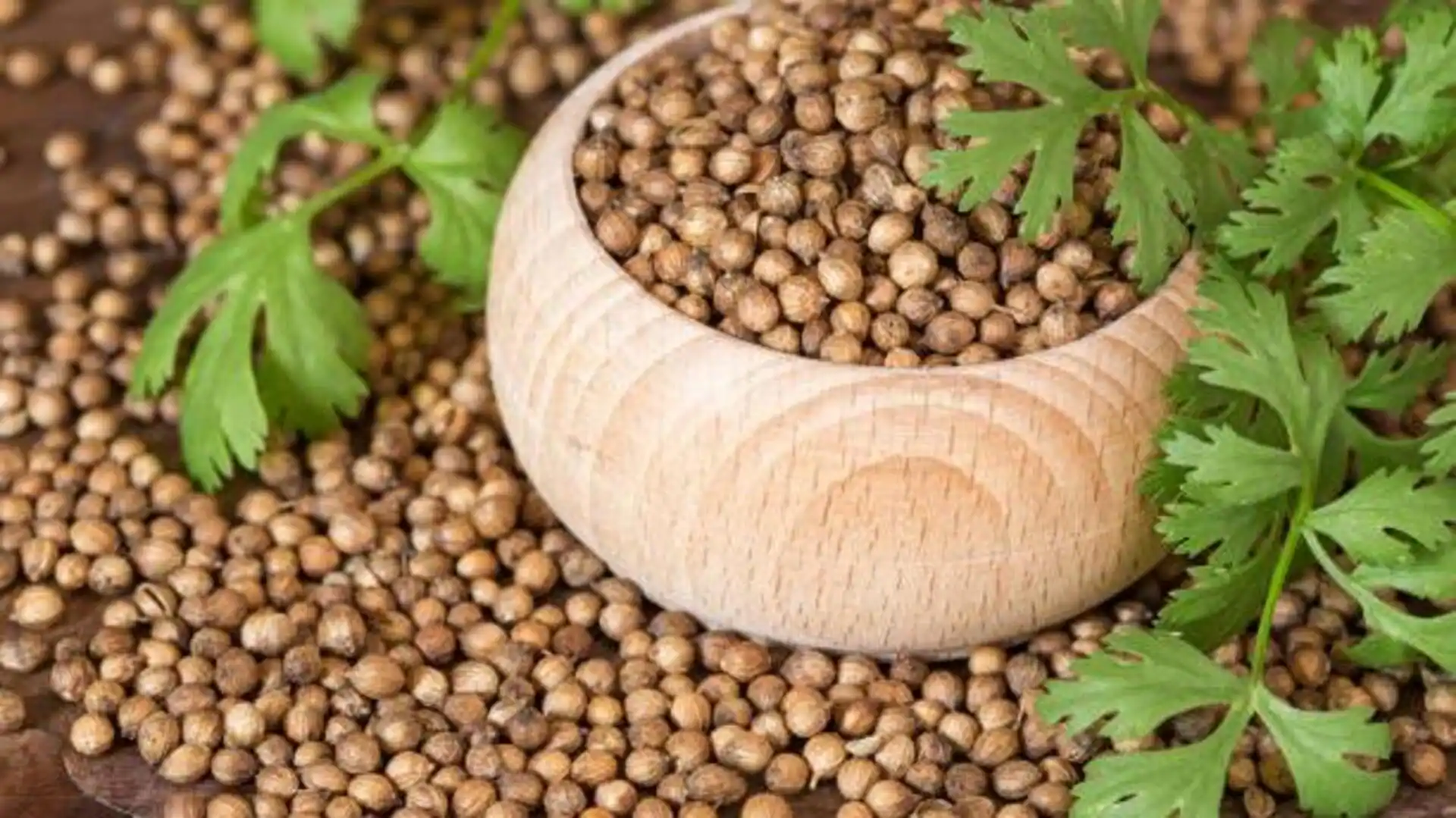 5 uses of coriander seeds
