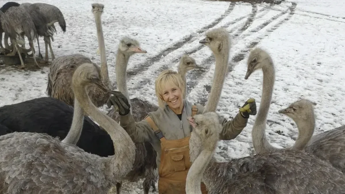 SLOBODIAN: When ostriches and whales die, so does Canada