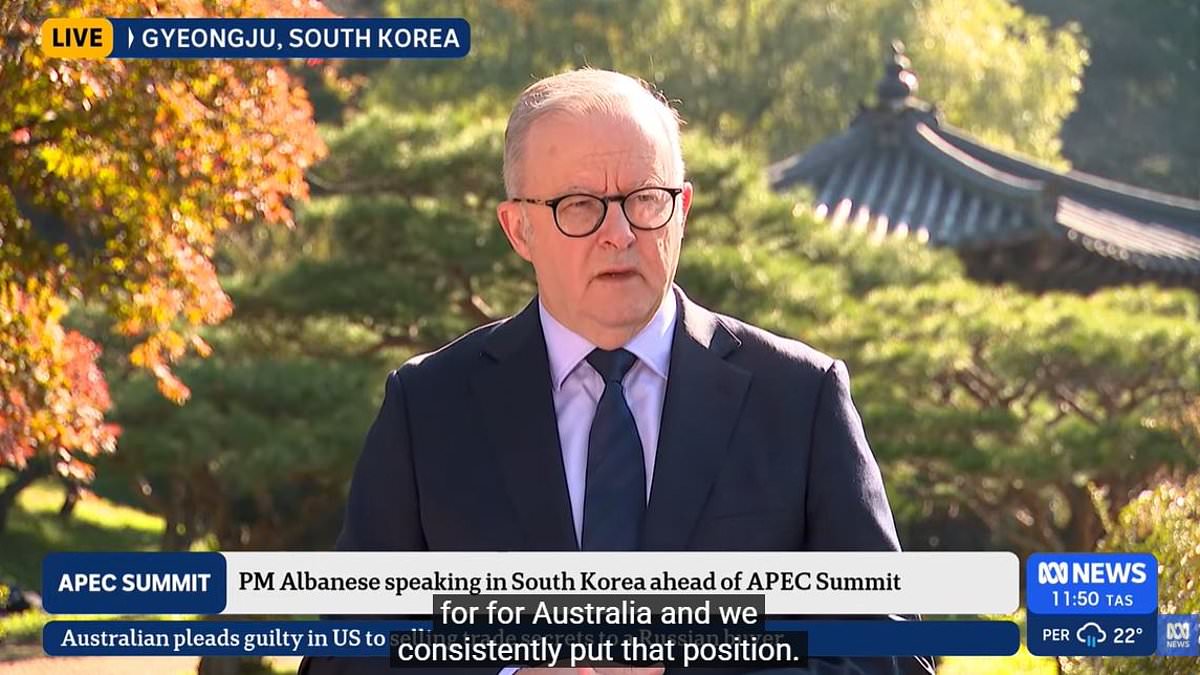 Anthony Albanese takes a Trump-style swipe at the media during press conference after question about President