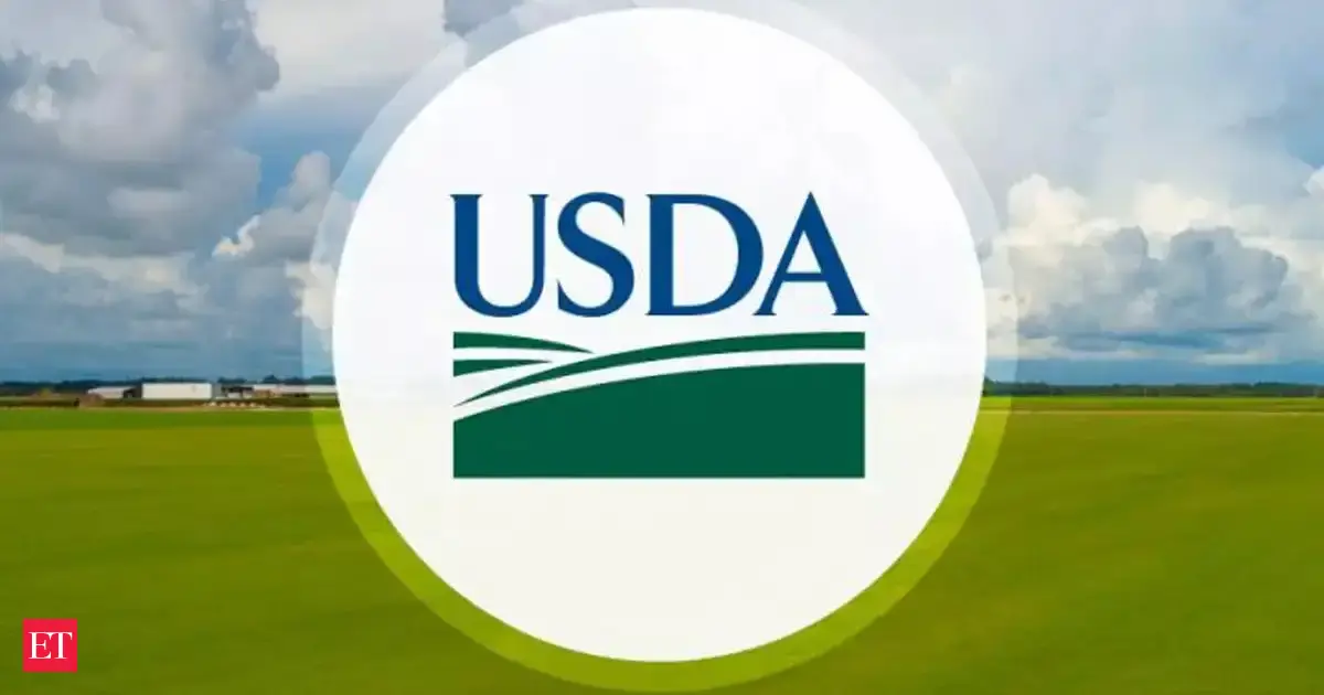 USDA website blames SNAP benefits expiring on transgender people and immigrants as shutdown threatens food aid for 41 million Americans