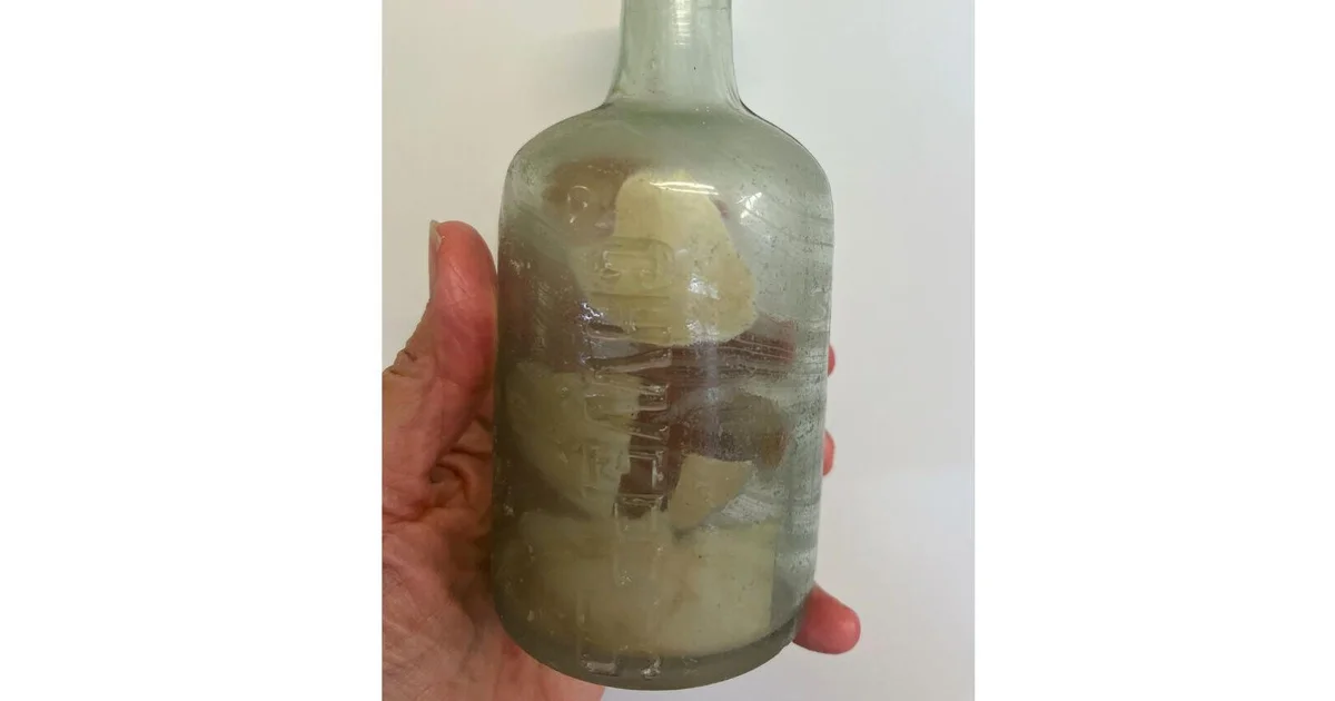 WWI soldiers' messages in a bottle found on beach 109 years later