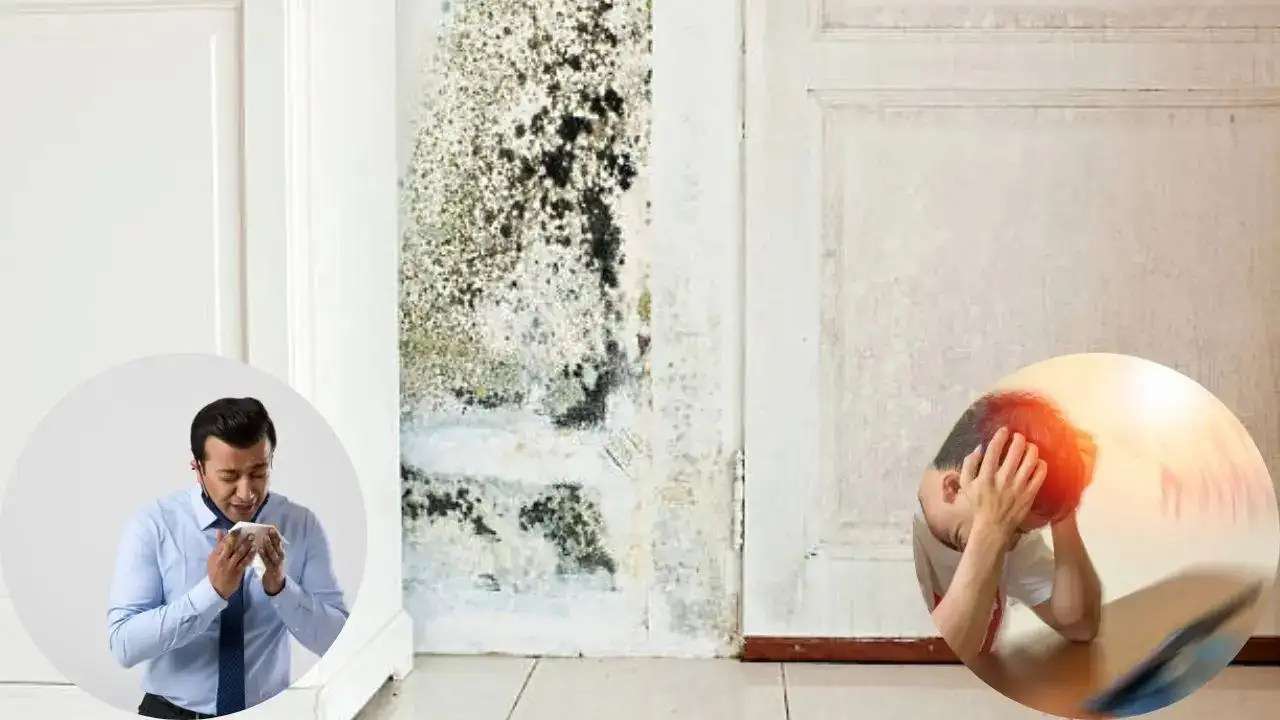 5 Warning Signs the Mould in Your Home Is Making You Sick