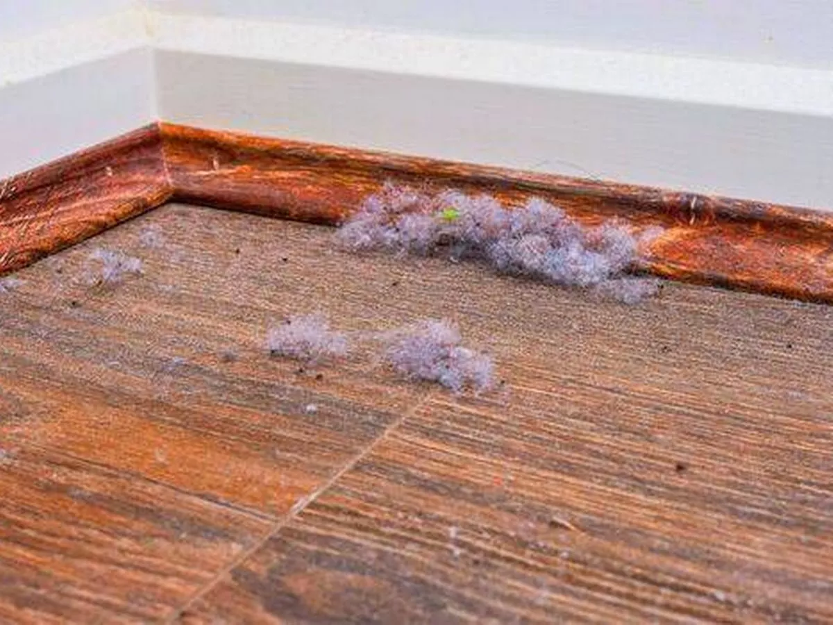 'Naturally anti-static' kitchen item keeps cobwebs at bay from skirting boards and walls