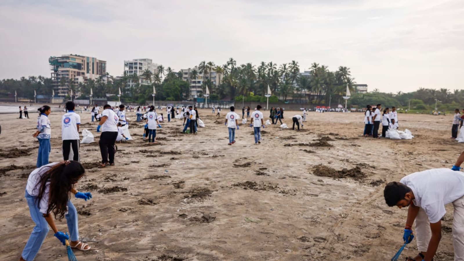 Mumbaikars Clean Up Juhu Coastline, Collect 1,946 Kg Of Plastic Waste