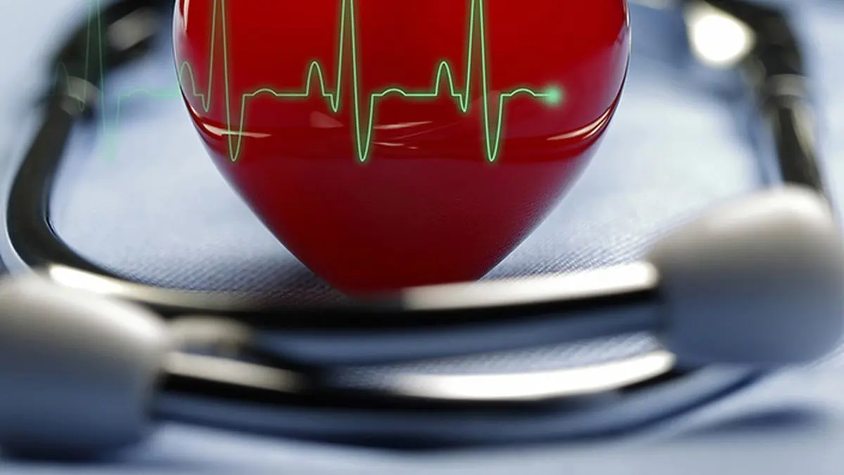 Q2 Results: Fischer Medical Ventures net profit up 4 times on robust demand