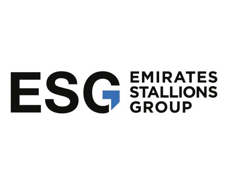Emirates Stallions Group revenue up 19% to Dh1.07 billion on strong core growth