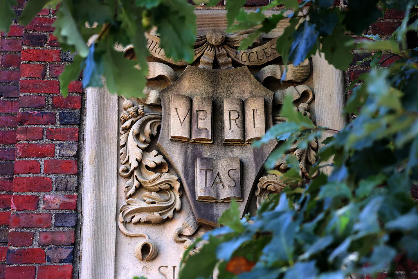 At Harvard University and Boston College, conservatives test free speech