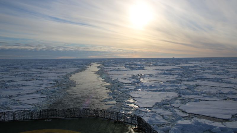Geometric patterns of fish nests found on Antarctica’s seafloor