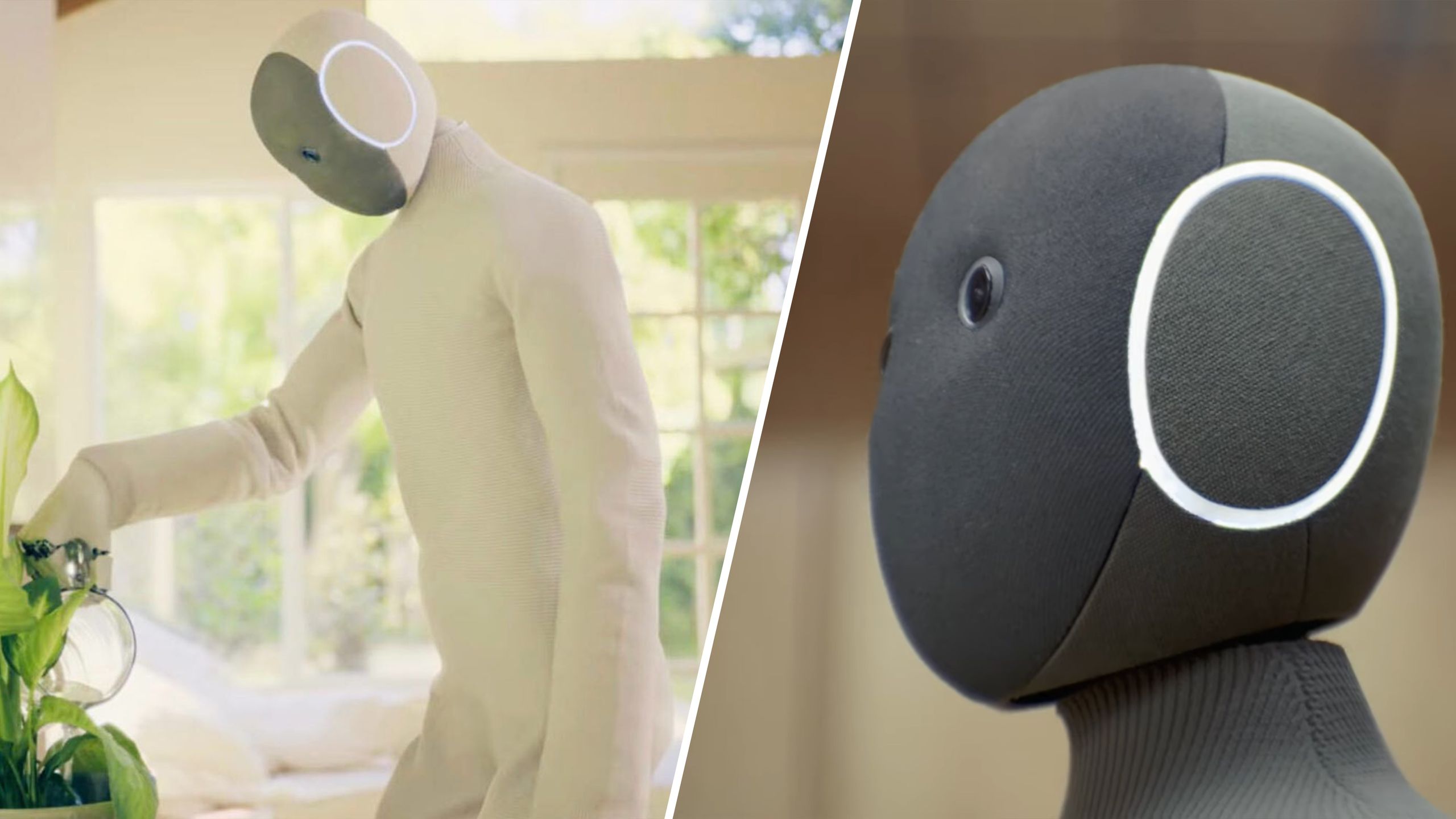 The Neo Home Robot that's breaking the internet promises to change the world — but there's one huge problem