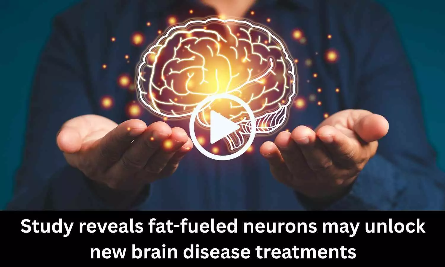 Study reveals fat-fueled neurons may unlock new brain disease treatments
