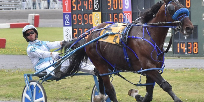 Kiwon Waldron Earns Runner-Up Finish In Trot