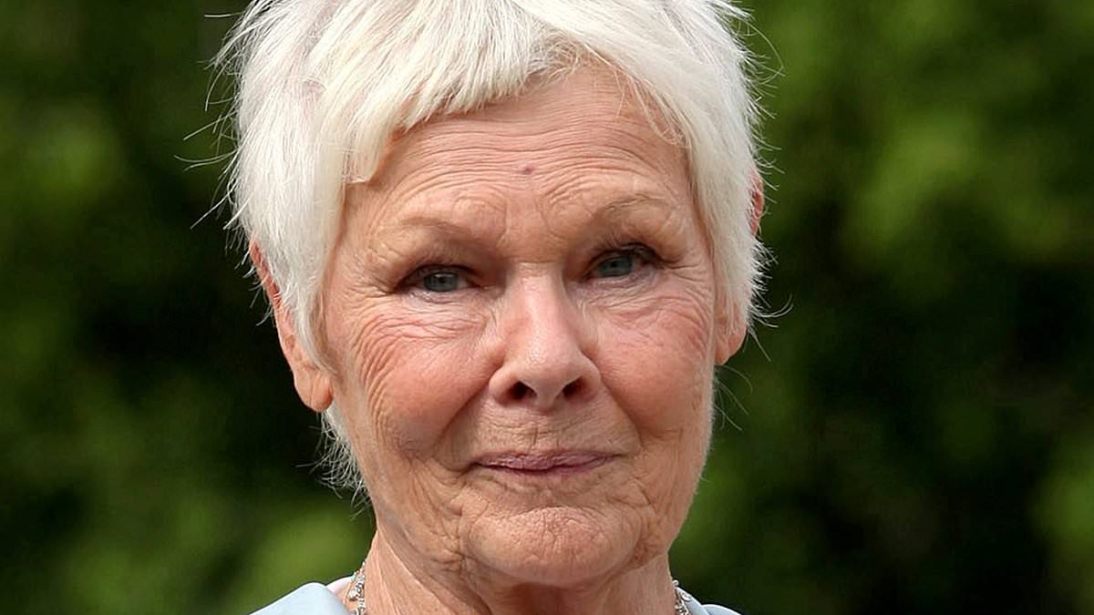 Dame Judi Dench brands Harrogate Water's plans to chop down 500 trees to expand its factory 'an act of environmental vandalism'