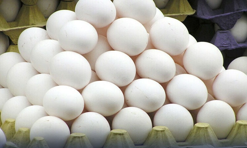 Pakistan starts export of table eggs to United States