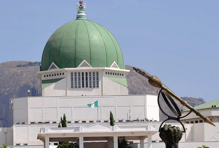 National Assembly Faces Rising Security Threats, Lawmaker Raises Alarm 