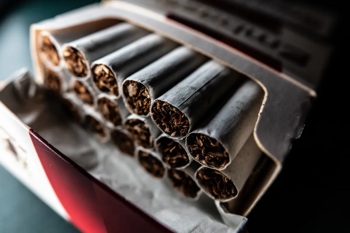 Smuggling gangs likely to capitalise on tobacco bill, experts say