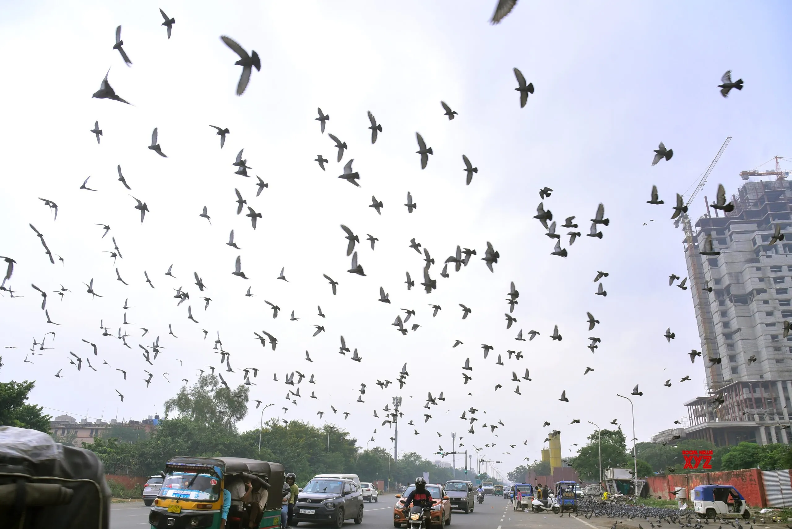 Smog Engulfs Jaipur City #Gallery